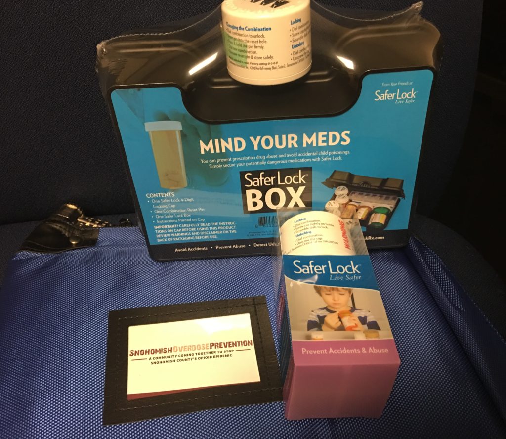 Medicine lock box, bag, and secure pill box